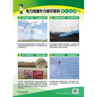 电力线路外力破坏案例警示挂图 国家电网公司运维检修部 著作 专业科技 文轩网