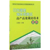 日光温室越冬茬黄瓜高产高效栽培技术图解 王铁臣 主编 专业科技 文轩网