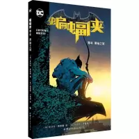 蝙蝠侠 零年 黑暗之城