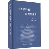 冲击波碎石原理与应用 孙西钊 编 生活 文轩网