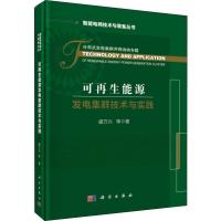 可再生能源发电集群技术与实践 盛万兴 等 著 专业科技 文轩网