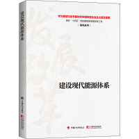 建设现代能源体系 学习贯彻习近平新时代中国特色社会主义经济思想 做好"十四五"规划编制和发展改革工作系列丛书编写组 编