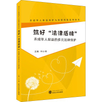 筑好"法律盾牌" 未成年人权益的多元法律保护 叶小琴 编 社科 文轩网