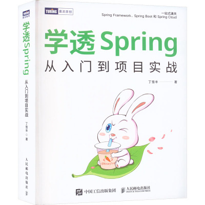 学透Spring 从入门到项目实战 丁雪丰 著 专业科技 文轩网