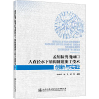 孟加拉湾出海口大直径水下盾构隧道施工技术创新与实践 韩晓明,李聪,杨钊 编 专业科技 文轩网