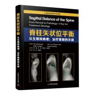 脊柱矢状位平衡(从生理到病理治疗策略的关键)(精)/国际经典骨科学译著