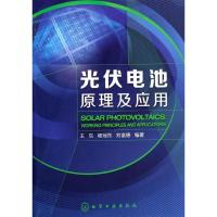 光伏电池原理及应用 王东,杨冠东,刘富德 著 专业科技 文轩网