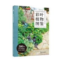 彩叶植物图鉴 日 荻原范雄主编; 药草花园 陆蓓雯译 著 药草花园//陆蓓雯 译 专业科技 文轩网