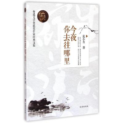 今夜你去往哪里/鲁迅文学奖获奖作家经典文集 范小青 著作 文学 文轩网