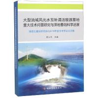 大型流域风光互补清洁能源基地重大技术问题研究与深地基础科学进展:雅砻江虚拟研究中心2018年度学术年会论文集 华 著