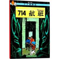 714航班 (比)埃尔热(Herge) 编绘;王炳东 译 著 少儿 文轩网