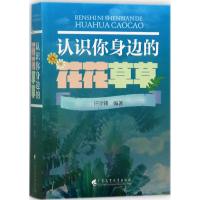 认识你身边的花花草草 许学锋 编著 著 专业科技 文轩网