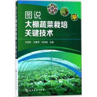 图说大棚蔬菜栽培关键技术 王迪轩,王雅琴,何永梅 主编 专业科技 文轩网