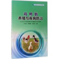 鸡鸭鹅养殖与疾病防治 卫书杰,李艳蒲,王会灵 主编 著 专业科技 文轩网