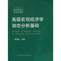 高级宏观经济学动态分析基础 崔殿超 著 著 经管、励志 文轩网