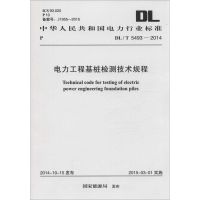 电力工程基桩检测技术规程 国家能源局 发布 著 专业科技 文轩网