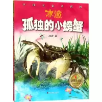 冰波·孤独的小螃蟹 冰波 著 少儿 文轩网