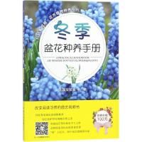 冬季盆花种养手册 花园实验室 等 著 生活 文轩网