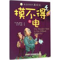 摸不得的电 (英)伊恩·格雷厄姆 文;(英)罗里·沃克 图;高伟,李芝颖 译 著作 少儿 文轩网