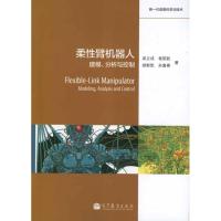 柔性臂机器人 建模、分析与控制 吴立成 等 著 专业科技 文轩网