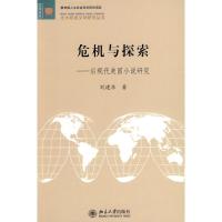 危机与探索--后现代美国小说研究 刘建华 著 文学 文轩网