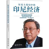 历史大变局中的印尼经济 (印尼)布迪约诺 著 龚勋 译 经管、励志 文轩网