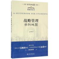 战略管理学科地图 金占明 著 大中专 文轩网