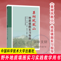 巢湖凤凰山地质填图实习指南 无 著 刘文中 等 编 专业科技 文轩网