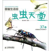 虫虫天堂 麓山画室 著作 艺术 文轩网