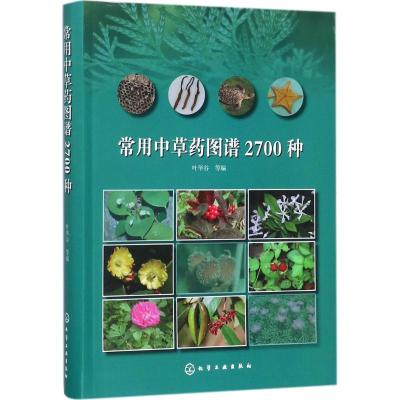 常用中草药图谱2700种 叶华谷 等 编 生活 文轩网