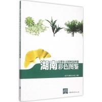 湖南主要乡土树种及种苗彩色图鉴 童方平,曹基武,徐永福 主编 专业科技 文轩网