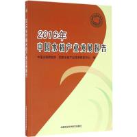 2016年中国水稻产业发展报告 中国水稻研究所,国家水稻产业技术研发中心 编 专业科技 文轩网