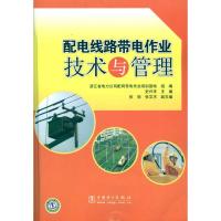 配电线路带电作业技术与管理 史兴华 主编 专业科技 文轩网