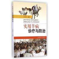 实用羊病诊疗与防治 发 著作 专业科技 文轩网