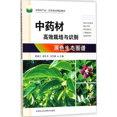 中药材高效栽培与识别原色生态图谱 袁建江,薛乐平,岑文展 主编 专业科技 文轩网