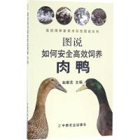 图说如何安全高效饲养肉鸭 赵献芝 主编 专业科技 文轩网