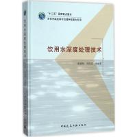 饮用水深度处理技术 张金松 等 编著 专业科技 文轩网