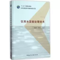 饮用水深度处理技术 张金松 等 编著 专业科技 文轩网