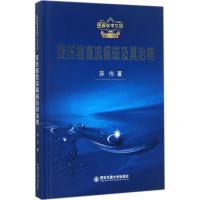 变压器直流偏磁及其治理 蒋伟 著 专业科技 文轩网