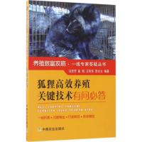 狐狸高效养殖关键技术有问必答 马泽芳 等 编著 著作 专业科技 文轩网