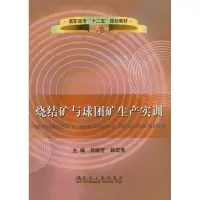 烧结矿与球团矿生产实训 吕晓芳 韩宏亮 主编 大中专 文轩网