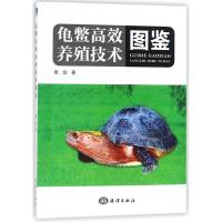 龟鳖高效养殖技术图鉴 章剑 著 专业科技 文轩网