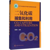 二氧化碳捕集和利用 王献红 主编 专业科技 文轩网