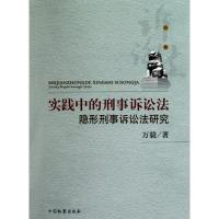 实践中的刑事诉讼法:隐形刑事诉讼法研究 万毅 著 社科 文轩网