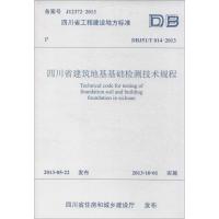 四川省建筑地基基础检测技术规程 四川省建设工程质量安全监督总站//四川省建筑工程质量检测中心 专业科技 文轩网