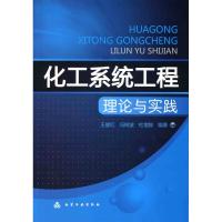 化工系统工程理论与实践(王健红) 王健红 著作 著 专业科技 文轩网