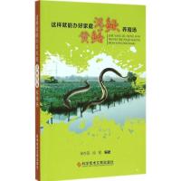 这样就能办好家庭泥鳅黄鳝养殖场 徐在宽,徐明 编著 著作 专业科技 文轩网