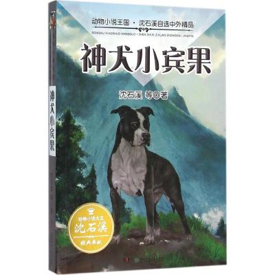 神犬小宾果 沈石溪 等 著 著作 少儿 文轩网