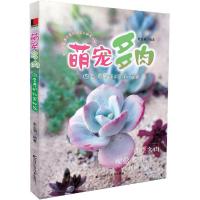 萌宠多肉 史玉娟 编著 著 生活 文轩网