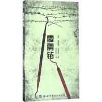 霹雳钻 (美)威廉姆·高德曼(William Goldman) 著;张侃侃 译 艺术 文轩网